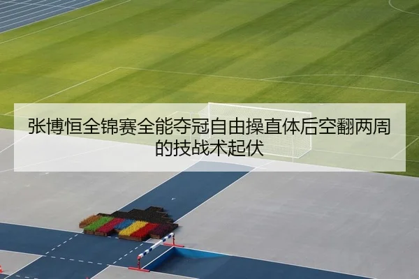 张博恒全锦赛全能夺冠自由操直体后空翻两周的技战术起伏